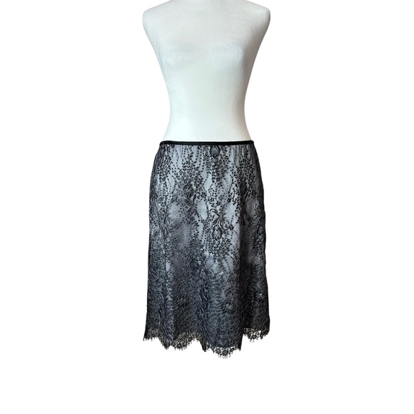 Ann Taylor Dresses & Skirts - Ann Taylor Silky Silver Skirt with Black Lace Romantic Feminine Size 8
